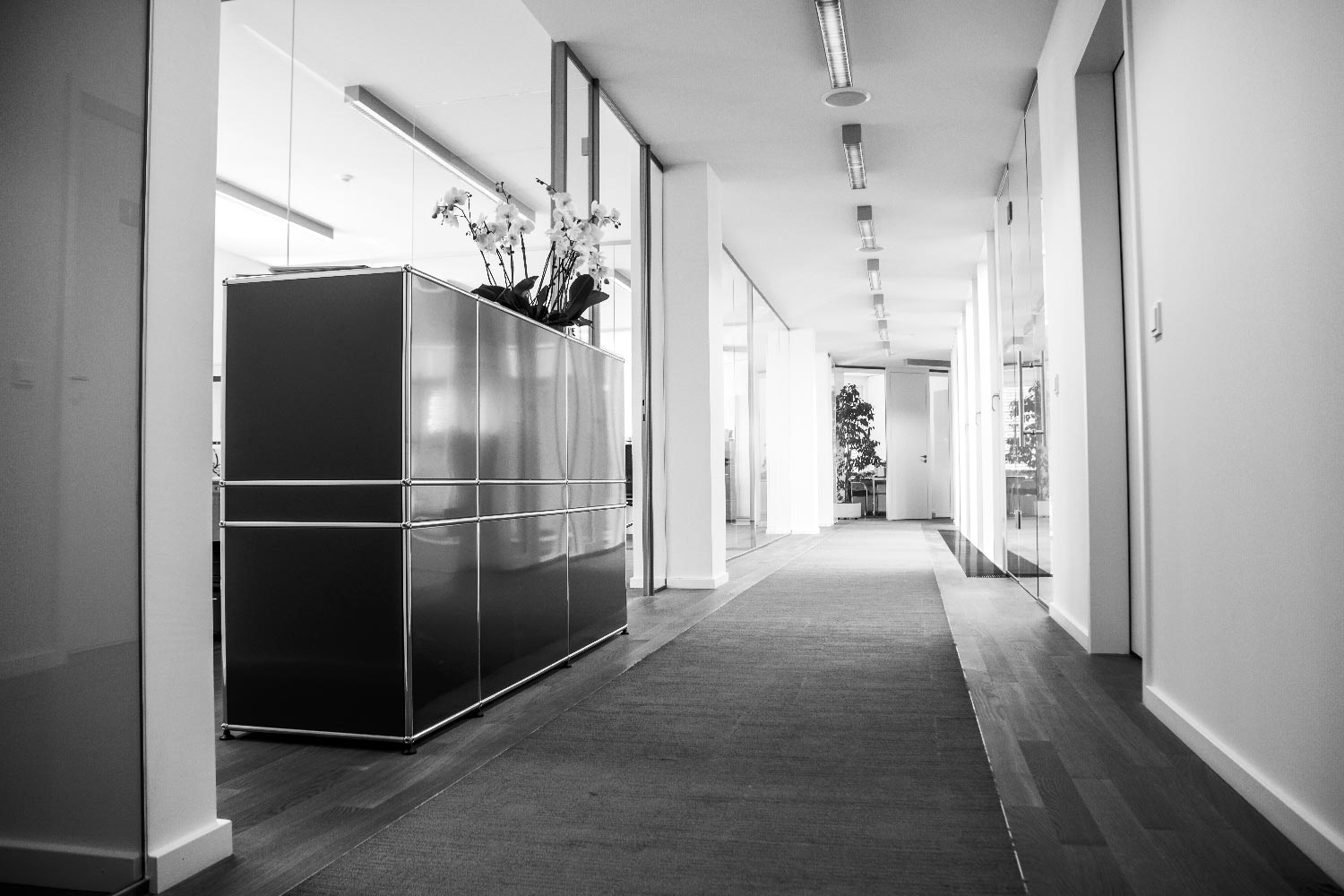 business photography