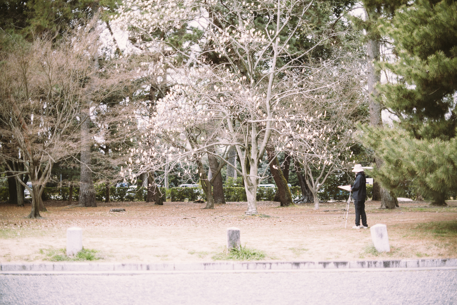 business as usual photography