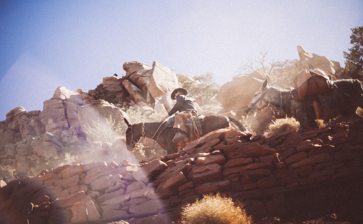 desert session photography