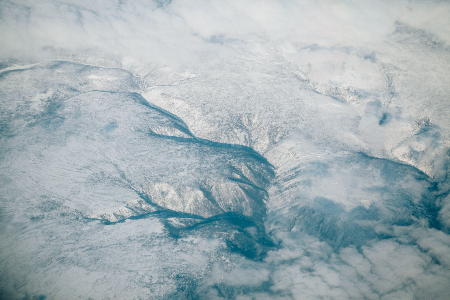 we are guests photography