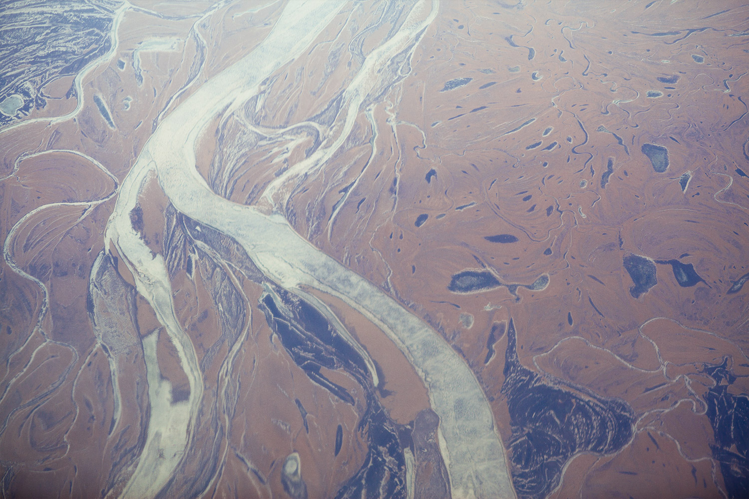 we are guests photography